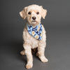 Sunny Days Dog Scarf