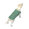 St. Patrick's Day Big Dog's Tank Top