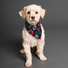 Hala Kahiki Dog Scarf