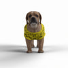 Have a Nice Day Little Dog's Tank Top