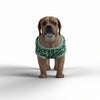 St. Patrick's Day Little Dog's Tank Top